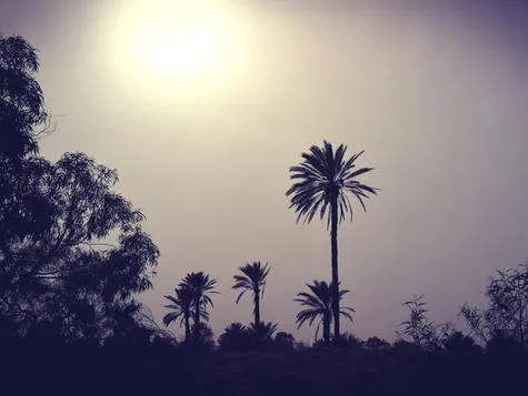 Les Hapkas à Djerba