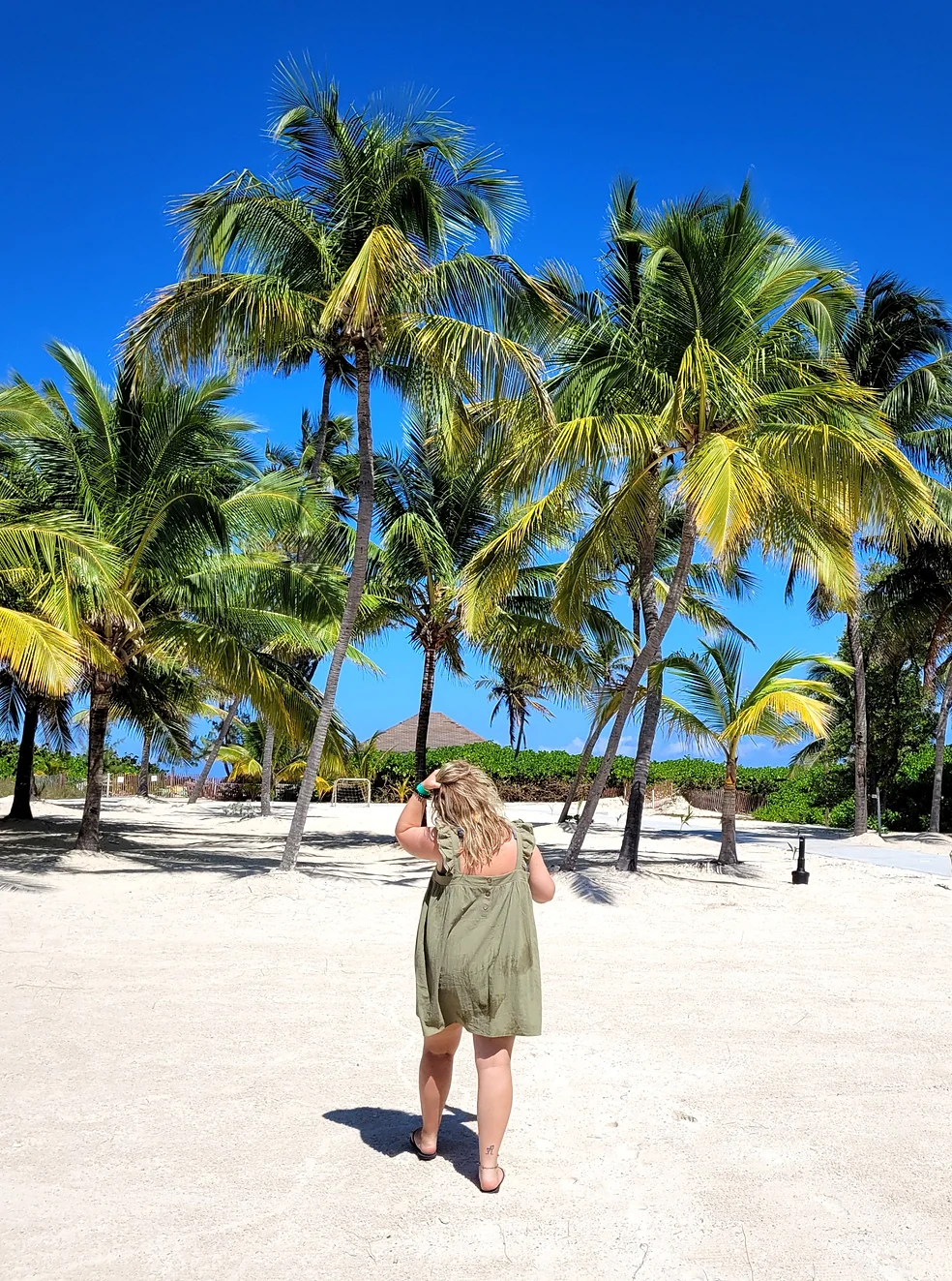 Bahamas1-1