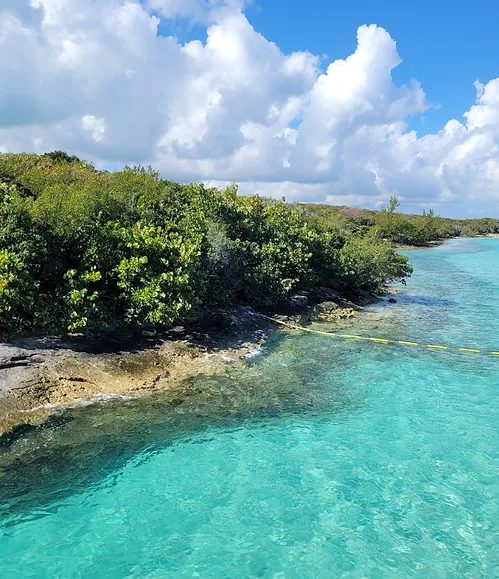 bahamas28