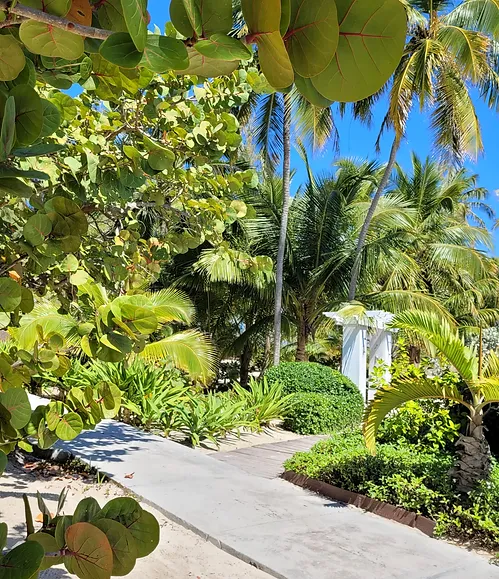 bahamas30