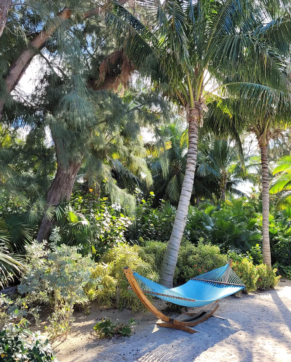 bahamas48