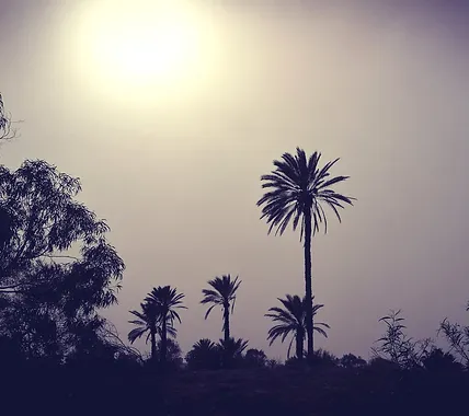 Djerba28