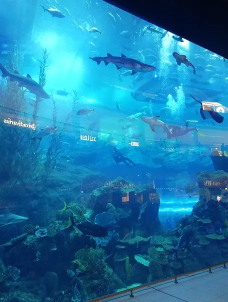 Dubai13