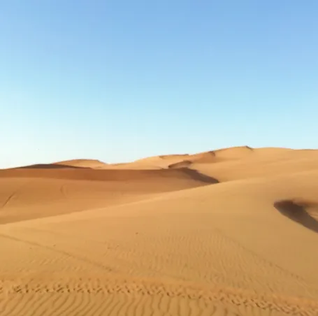 Dubai24