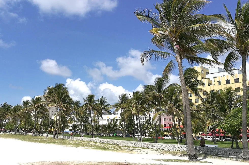 Floride17