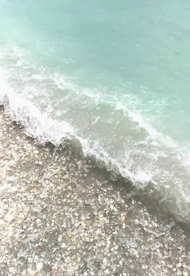 Floride42
