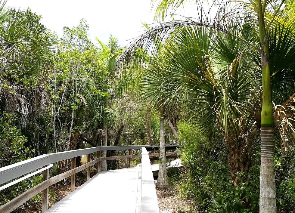 Floride43