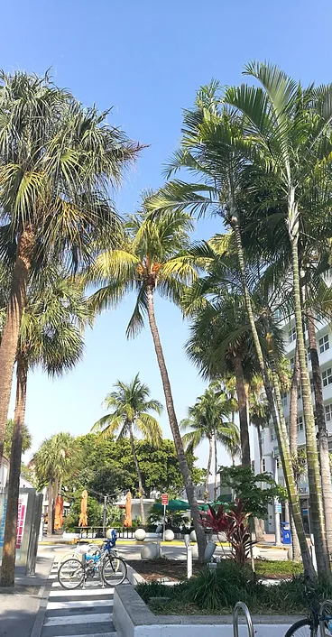 Floride6
