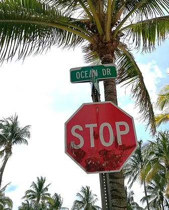 Floride8