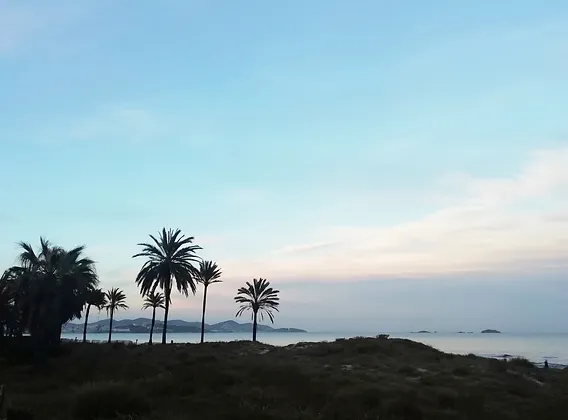 Ibiza11