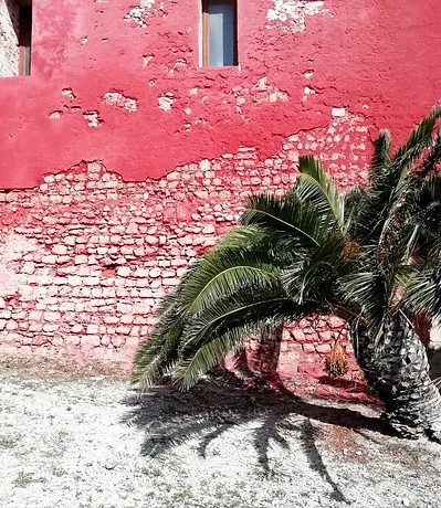Ibiza19