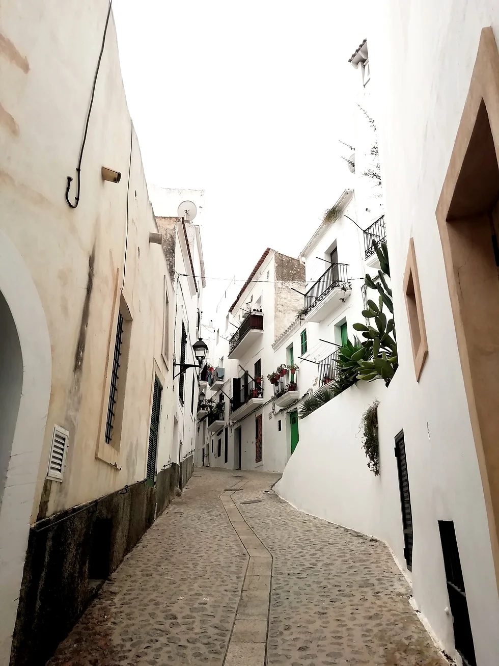 Ibiza26