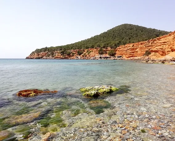 Ibiza28