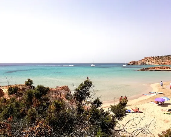 Ibiza33
