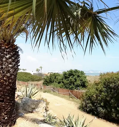 Ibiza7