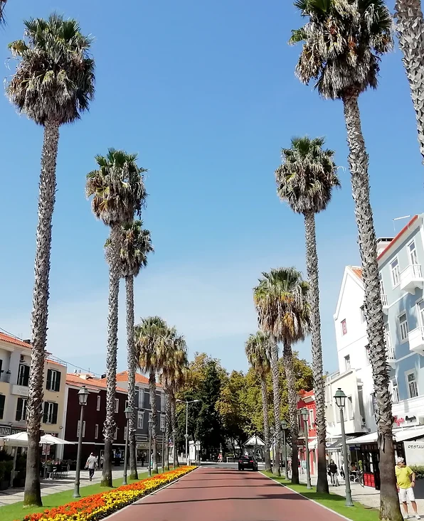 Lisboa43
