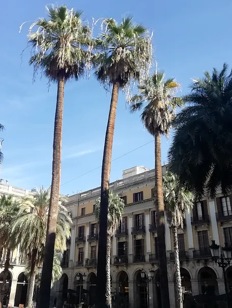 Spain14