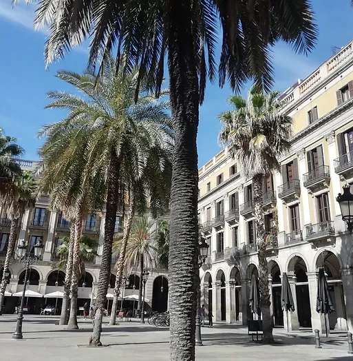 Spain19