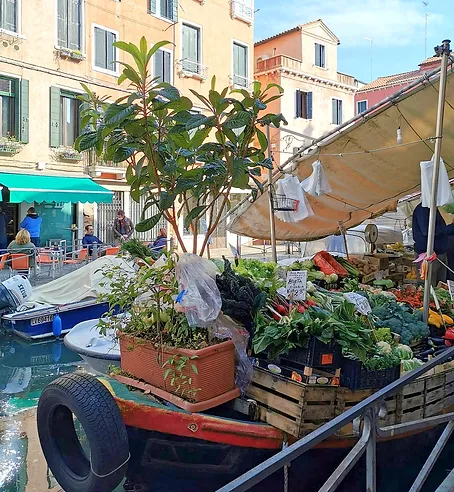 venise31